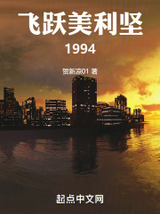 飞跃美利坚1994