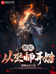 模拟从巫师开始