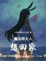 魔法师大人只想回家