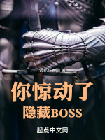 你惊动了隐藏BOSS