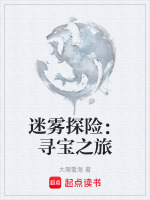 迷雾探险：寻宝之旅