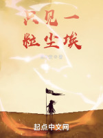只见一粒尘埃