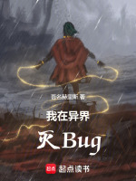 我在异界灭Bug