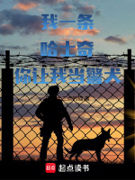 我一条哈士奇你让我当警犬