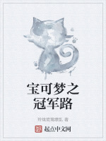 宝可梦之冠军路