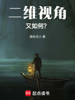 二维视角又如何？