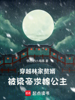 穿越林家赘婿被梁帝求嫁公主