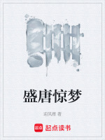盛唐惊梦
