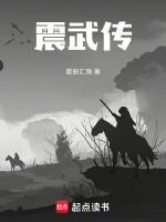 震武传