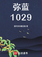 弥蓝1029