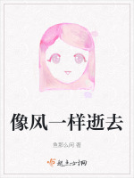 像风一样逝去