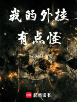 我的外挂有点怪