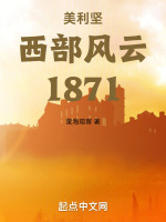 美利坚西部风云1871