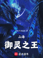 山海御灵之王