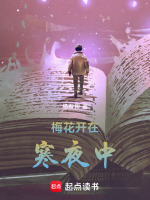 梅花开在寒夜中