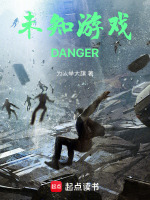 未知游戏DANGER