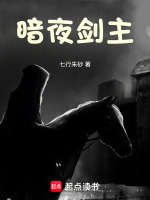 暗夜剑主